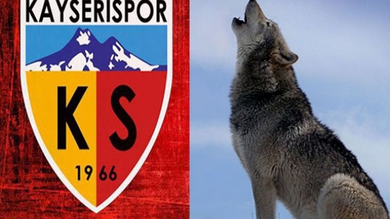 Kayserispor'un Sembol Figürü "KURT" Oldu