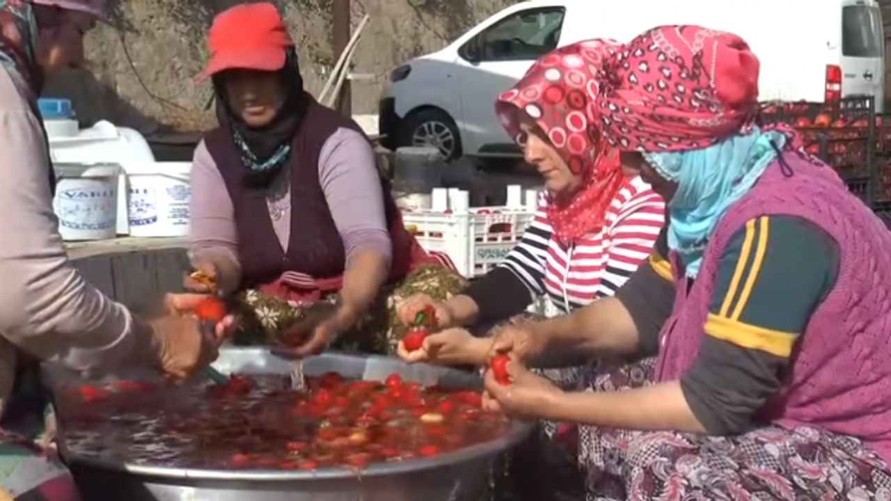 Kayseri'den kadın çiftçilere örnek olacak proje, bir başarı hikayesi!