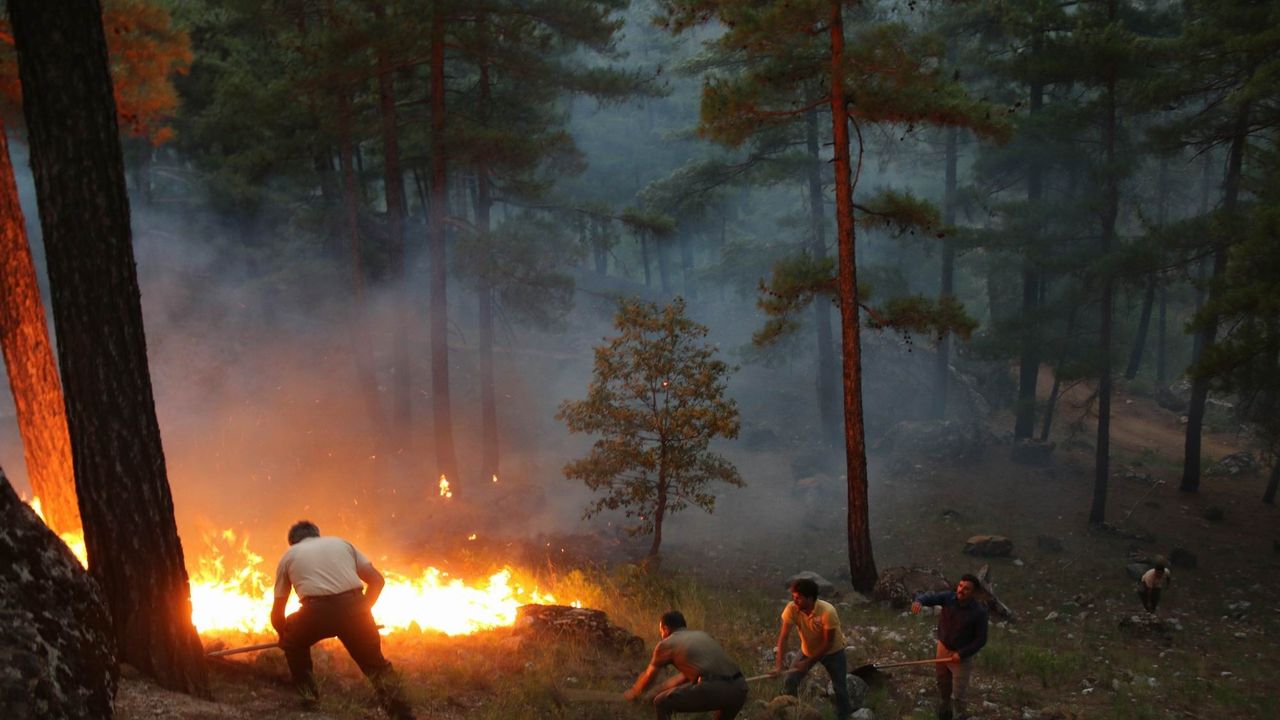 Yahyalı'daki orman yangını devam ediyor