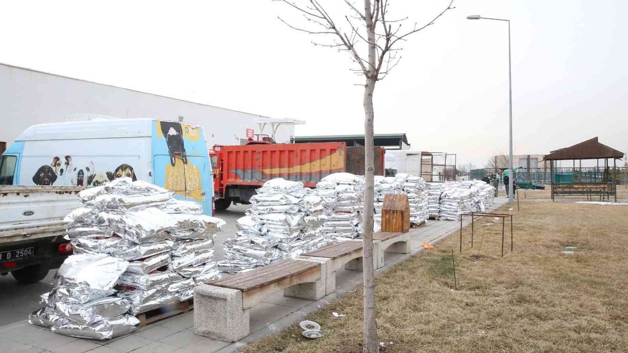 Büyükşehir Belediyesi’nden 13 ilçeye 13 ton mama desteği