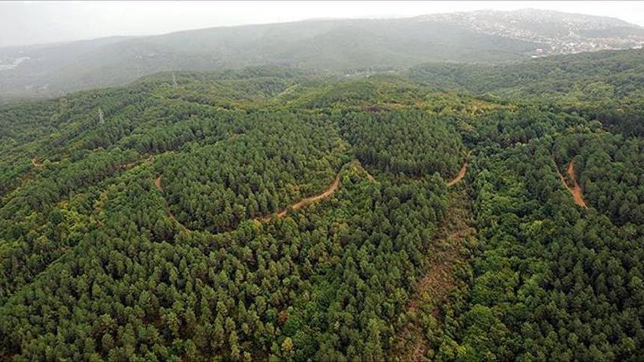 Deprem bölgesinde orman ve meralar yapılaşmaya açıldı