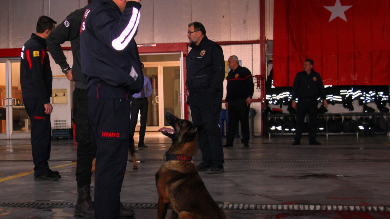 Arama kurtarma köpekleri 18 kişinin hayatına dokundu