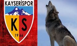 Kayserispor'un Sembol Figürü "KURT" Oldu