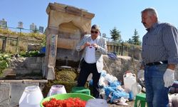 Bünyan Gilaburusu Dünya’ya Açılıyor