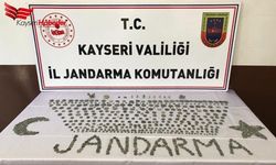 Tarihi Eser Kaçakçıları Yakalandı