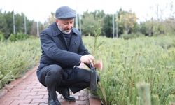 ''Gayretimiz Yemyeşil Kayseri'yi İnşa Etmektir''