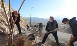 Ali Dağı’na 500 adet meyve ağacı daha