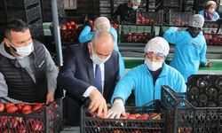 Başkan Öztürk; “Elma üreticilerinin sorunlarını çözmek istiyoruz”
