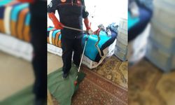 Ev sahiplerine korku yaşatan yılanı itfaiye ekipleri yakaladı
