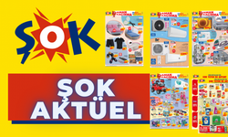 ŞOK 23 HAZİRAN 2021 AKTÜEL ÜRÜNLER KATALOĞU