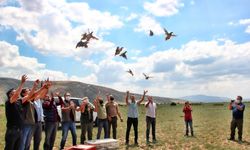 Kayseri'de 550 keklik doğaya salındı