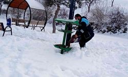 Hacılar’da sokak hayvanları unutulmuyor