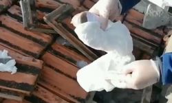 Esrarı çatıdaki kiremitler altına zulalayan uyuşturucu taciri polisten kaçamadı