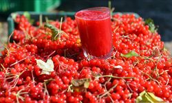 Kayseri'nin kırmızı incisi Gilaburu'nun faydaları