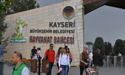 Hayvanat Bahçesi Bayramda İki Gün Ücretsiz