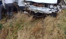 Otomobil Yoldan Çıktı: 2 Yaralı