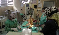 ERÜ Hayvan Hastanesinde 23 bin 942 hayvan şifa buldu