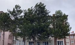 Çankırı'da Fırtına Uyarısı: Okullar Tedbir Amacıyla Tatil Edildi