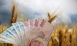 Tarım Bakanlığı 10 Mayıs’ı İşaret Etti! Çiftçilere Ödeme Yapılacak