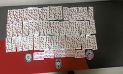 Kayseri'de Polis Operasyonunda Uyuşturucu Madde Ticareti Yapan Bir Kişi Yakalandı