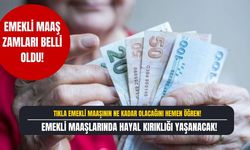 Emekli Maaşlarının Ne Kadar Olacağı E-Devletten Bakılacak! Emekliler Maaş Sorgulama ile Hemen Öğrenin