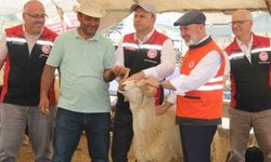 Kayseri İl Tarım ve Orman Müdürü: Kurban Bayramı Öncesi Bulaşıcı Hastalık Yok