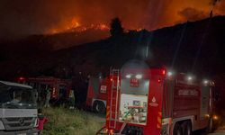 Türkiye Yangın Yeri! Çanakkale Uşak ve İzmir'de Ormanlar Yanıyor