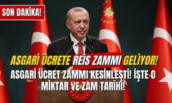 Asgari Ücrete “Reis” Zammı Gelecek! Temmuz’da Beklenen Asgari Ücret Zammı Meğer O Aydaymış!