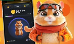 4 Temmuz Hamster Kombat Kombo Kartları 5000000 Kazandırıyor!