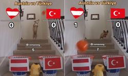 Dünyanın Konuştuğu Köpek Türkiye Avusturya Maç Sonucunu Açıkladı