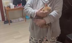 Kayseri’de bacada sıkışan kedi enkaz altı görüntüleme cihazı ile kurtarıldı