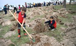 Büyükşehir Belediyesi, 3 Bin Fidanı Toprakla Buluşturdu