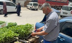 Yozgat Yerköy’de Sebze Fidesi Telaşı