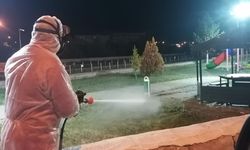 Bünyan'da Kene Alarmı: İlaçlanmayan Park Kalmadı