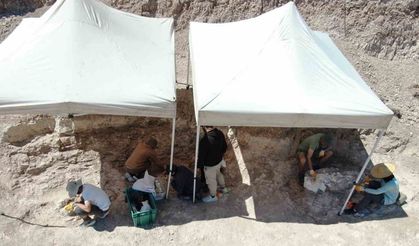 7,5 milyon yıllık kazılarda insan arayışı devam ediyor