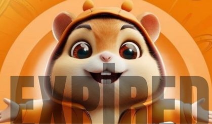 Hamster Kombat Expired Ne Demek?