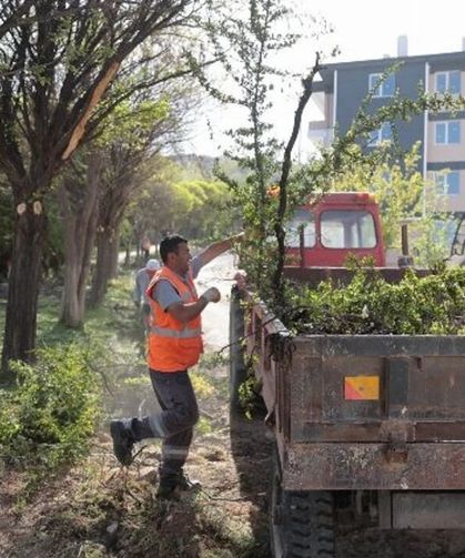 'Temiz Şehir Nevşehir' Kampanyasıyla Temizlik Seferberliği Başladı