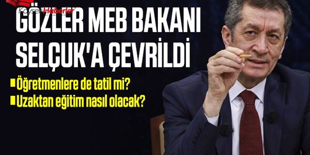 Öğretmenler ve akademisyenler okula gidecek mi? Evden uzaktan eğitim nasıl olacak?