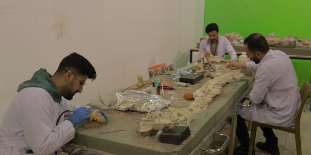 7,5 milyon yıllık fosiller için çalışmalar devam ediyor