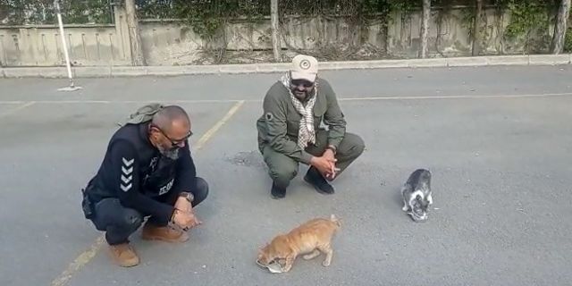 Kayseri Polisi, Depremin Merkez Üssündeki Hayvanlara Şefkat Eli Uzatıyor