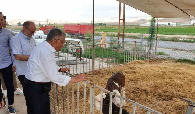 Büyükşehir’den Tarım Ve Hayvancılığa 5 Yılda Yaklaşık 500 Milyon TL’lik Yatırım