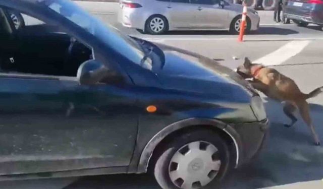 Uyuşturucuyu aracın motor kaputuna zulalamışlar