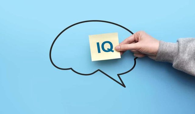 IQ testi sonucuna göre Türkiye'nin en zeki şehirleri belli oldu