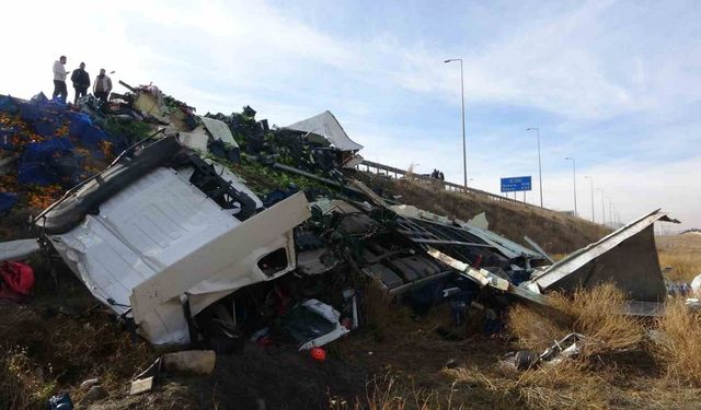 Otomobille çarpışan meyve yüklü tır şarampole devrildi!