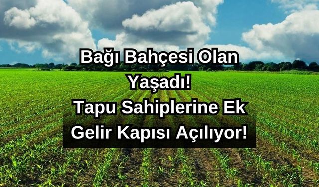 Bağı Bahçesi Olan Yaşadı! Tapu Sahiplerine Ek Gelir Kapısı Açılıyor!