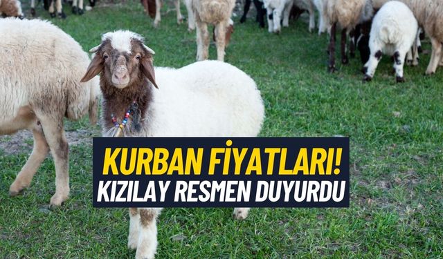 Kurban Bedel Fiyatları Açıklandı! Kızılay 2024 Yılı İçin Duyurdu