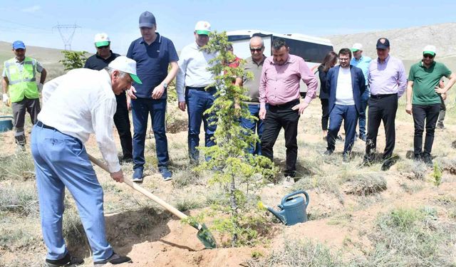 KSO, 50. Yılında 10 Bin Fidanla Geleceğe Nefes Oldu