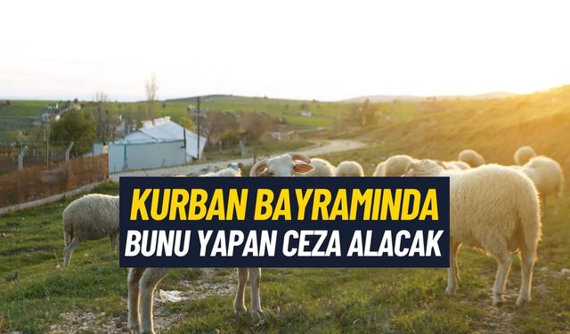 Kurban Bayramında Aman Buna Dikkat Edin! 2405 TL Cezası Var