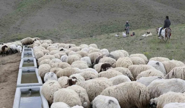 Pınarbaşı'da Hizmetler Aralıksız Devam Ediyor