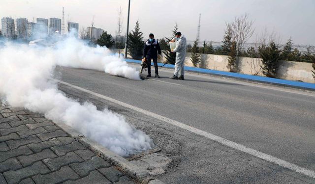 Talas Belediyesi Erken Müdahaleyle Sivrisineklere Karşı Önlem Alıyor